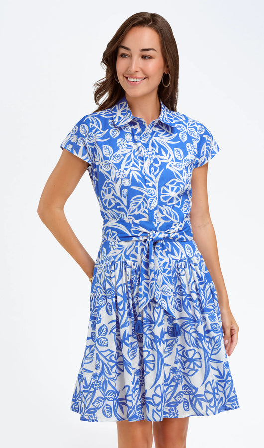 Haley Dress